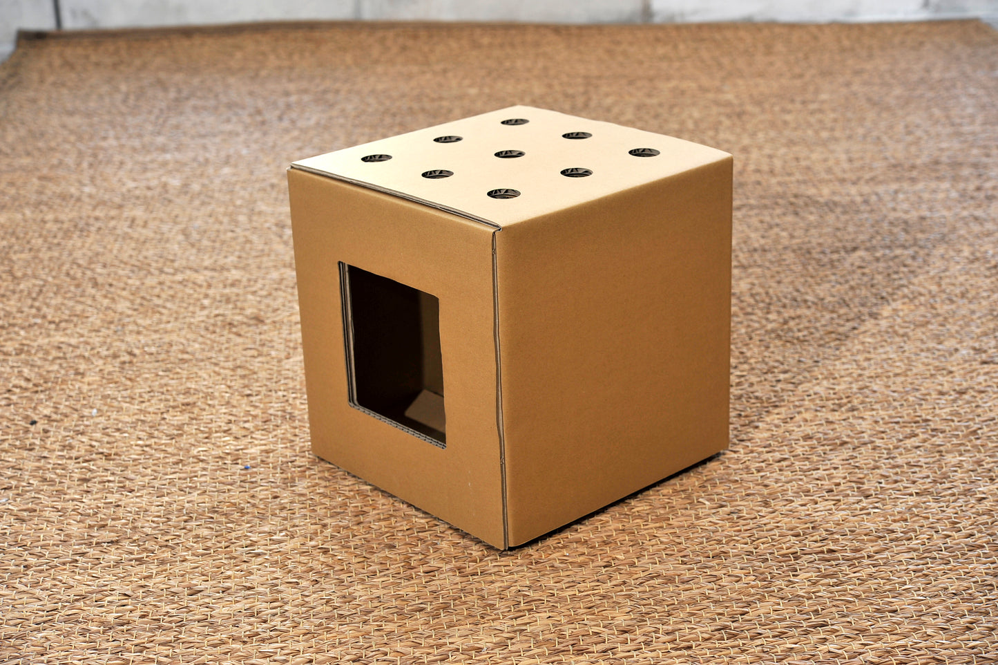 ハコネコ本体　小