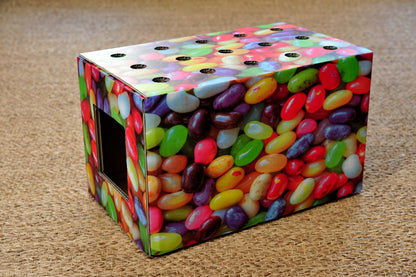 ハコネコ　ビーンズ