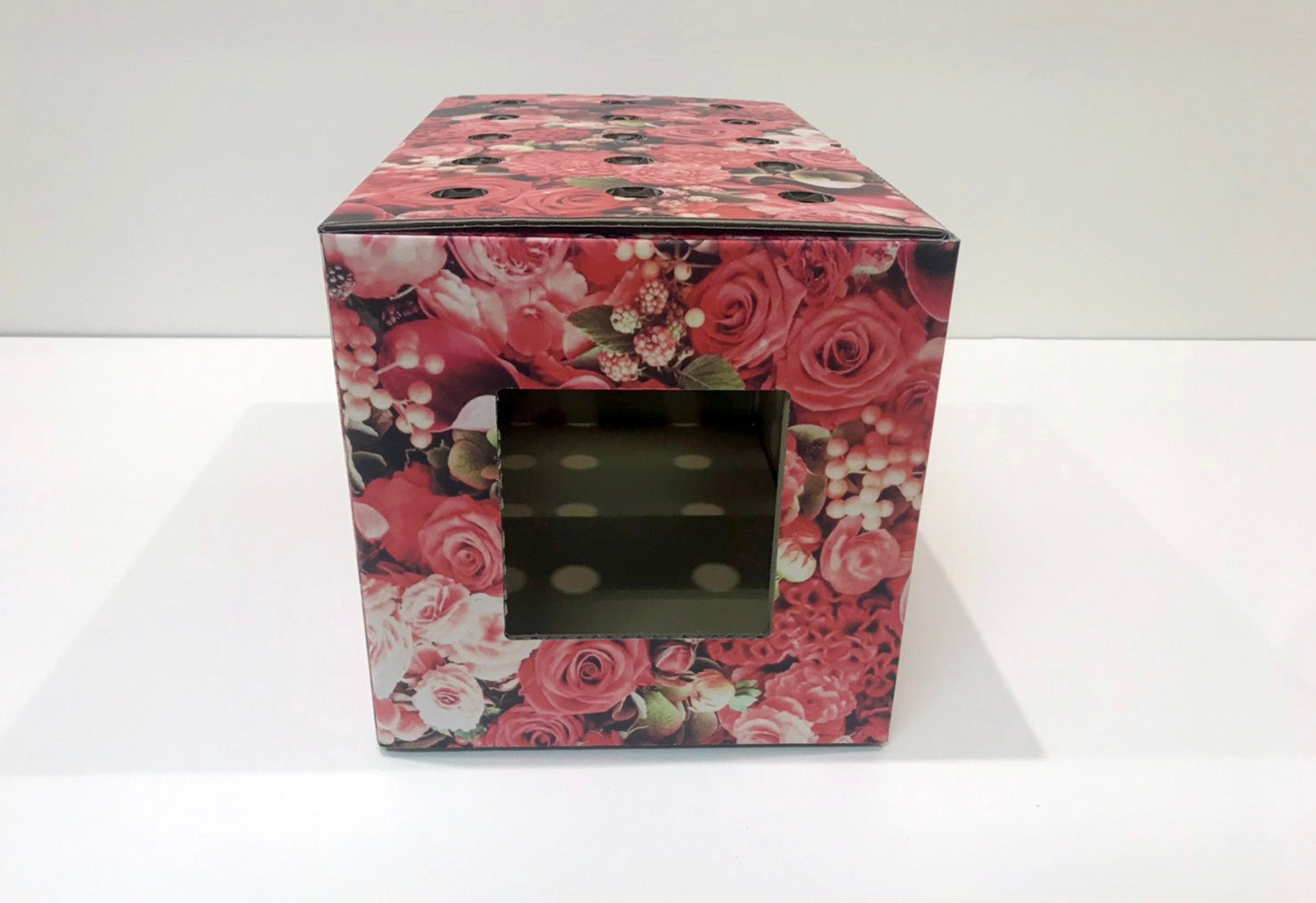 ハコネコ　バラ