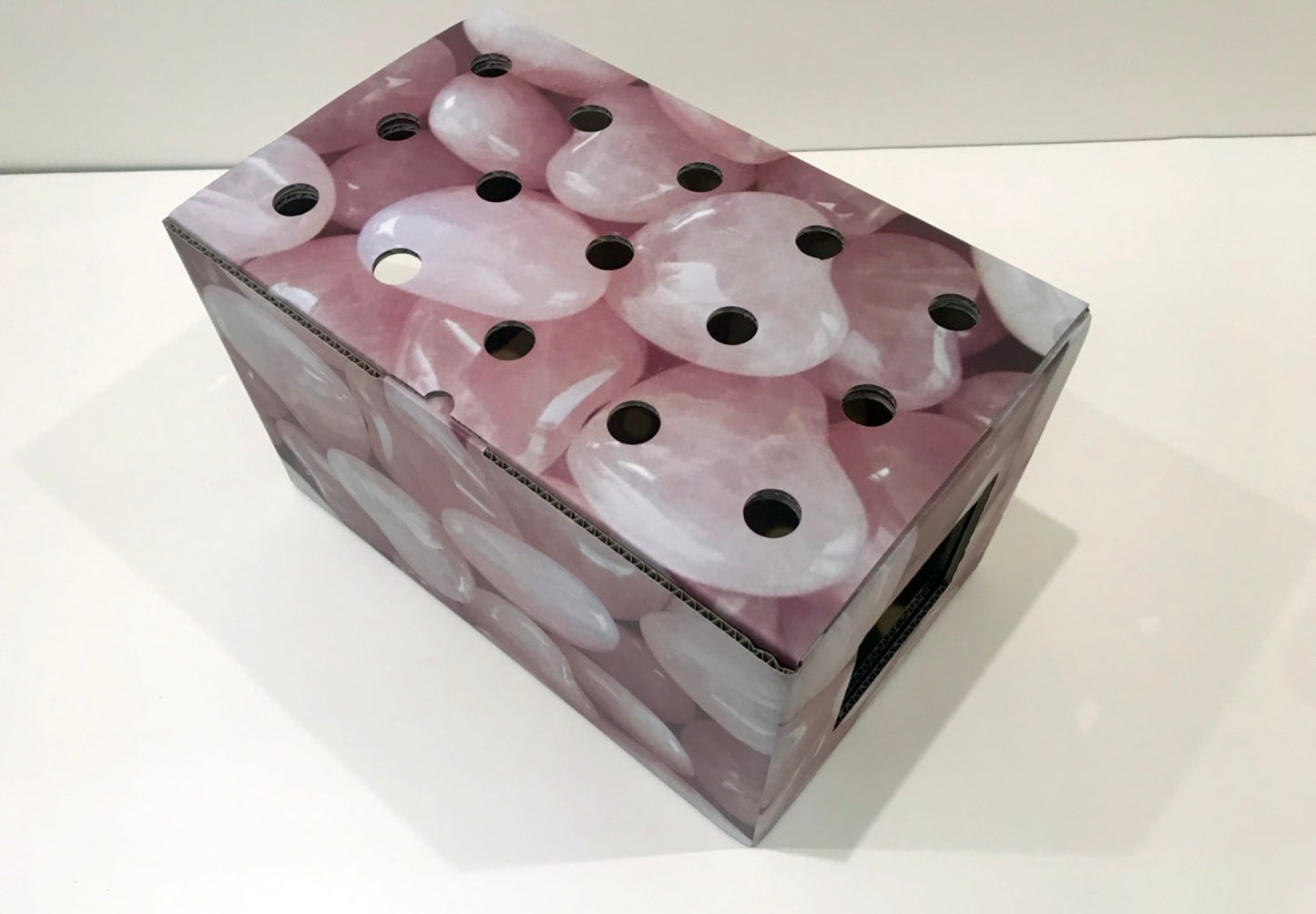 ハコネコ本体　大