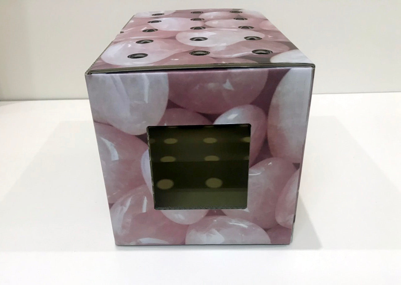 ハコネコ本体　大