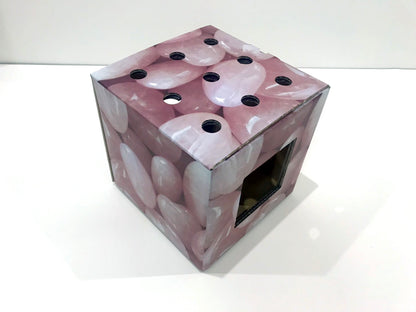 ハコネコ　バラ